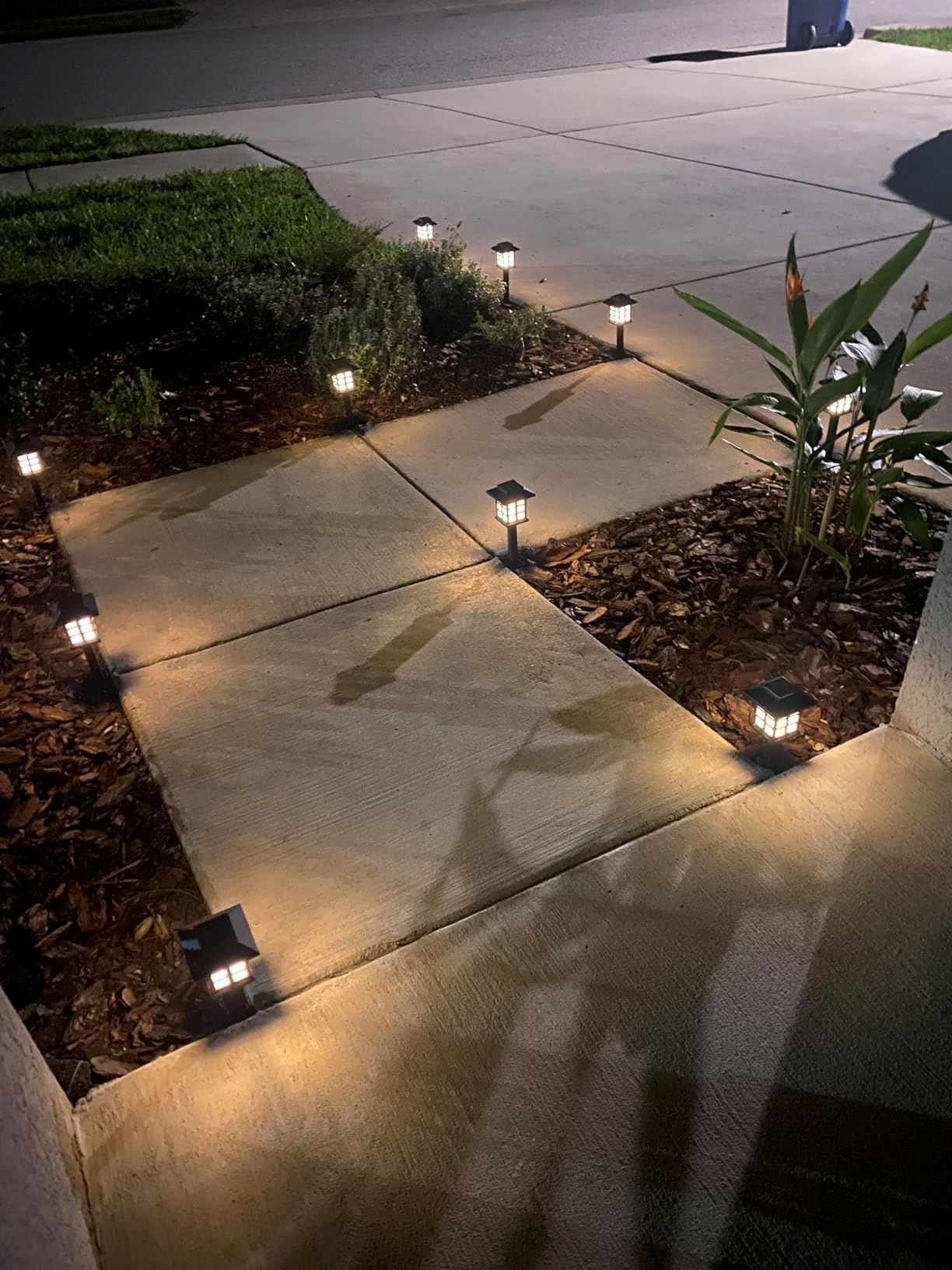Solar Garden Light