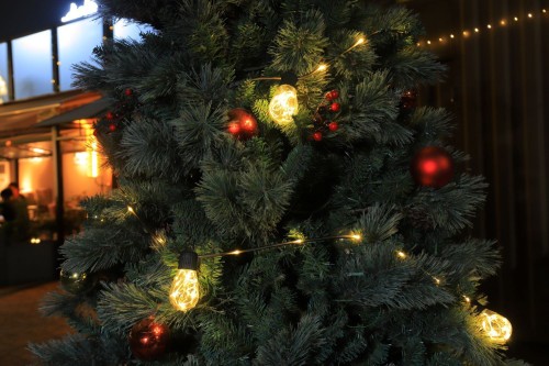 Transparent luminous wire (non-replaceable)