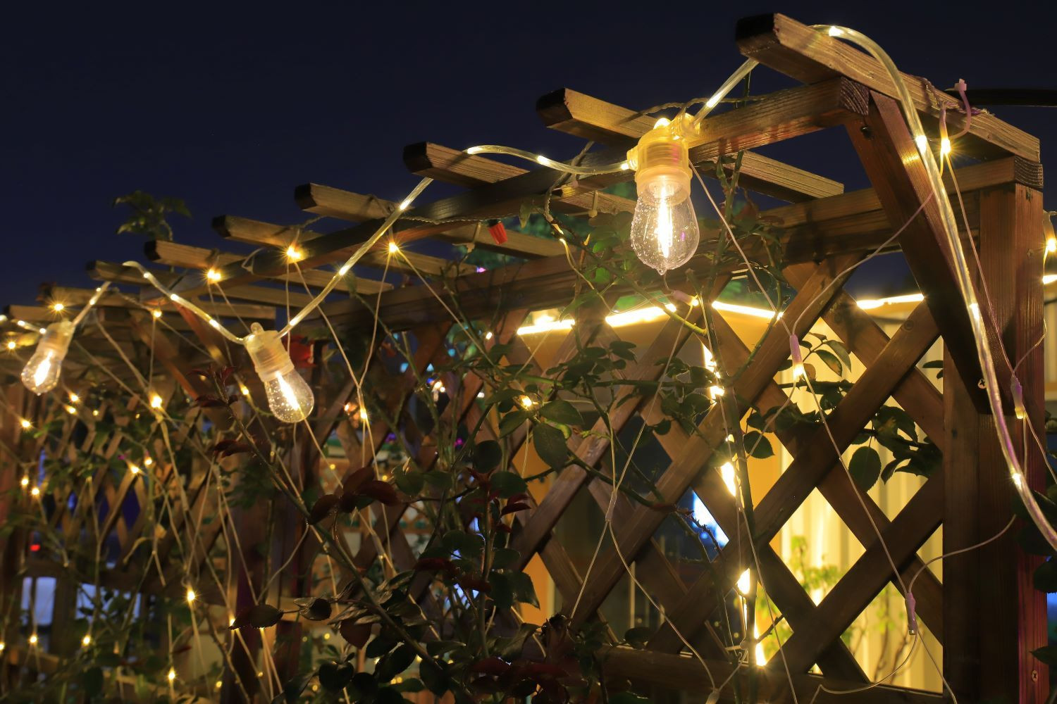 Transparent luminous wire (replaceable).