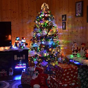 Outdoor LED ambient light