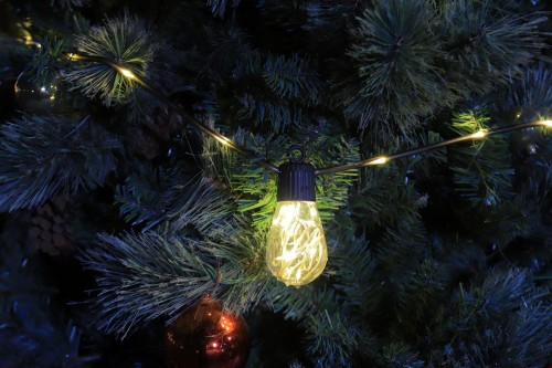 Transparent luminous wire (non-replaceable)