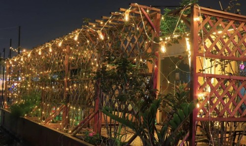 Transparent luminous wire (replaceable).