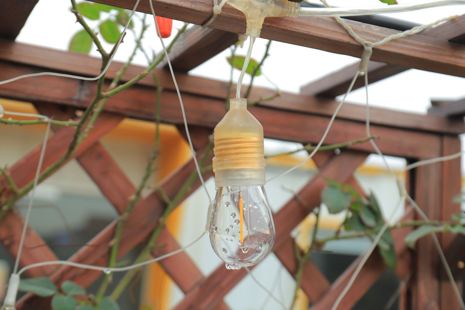 Transparent luminous wire (replaceable).