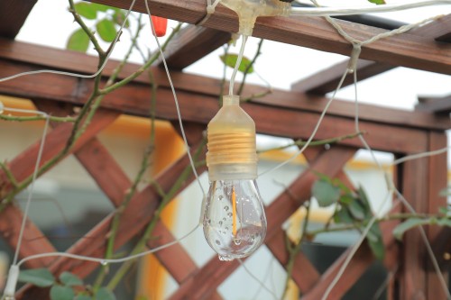 Transparent luminous wire (replaceable).