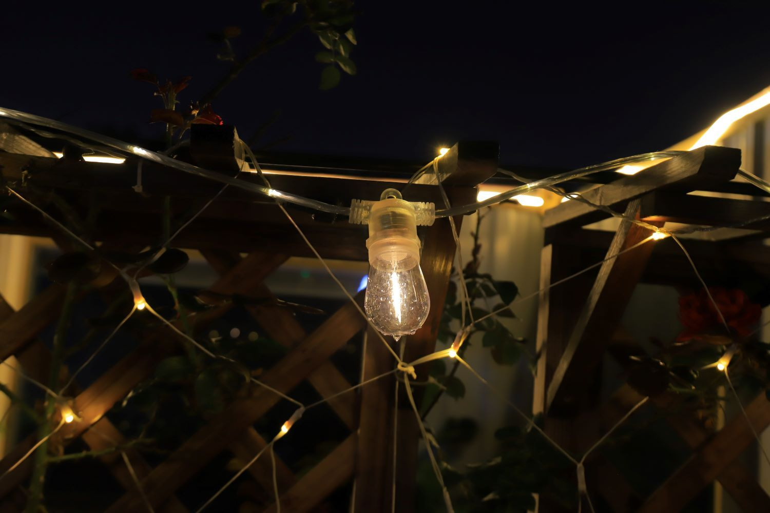 Transparent luminous wire (replaceable).